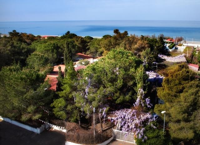 Villaggio La Pantera Rosa Scalea Εξωτερικό φωτογραφία